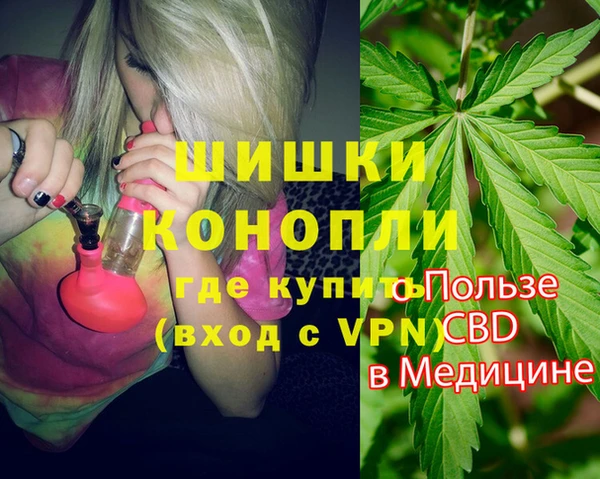 прущие грибы Заволжье